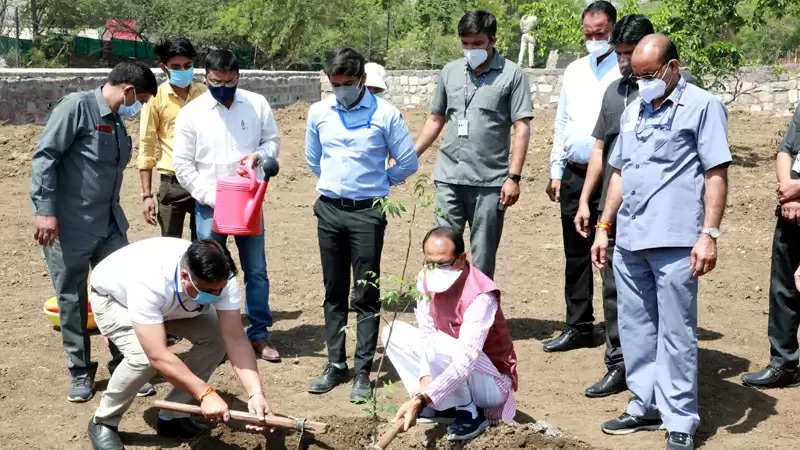 मुख्यमंत्री श्री चौहान ने स्मार्ट उद्यान में नीम का पौधा रोपा